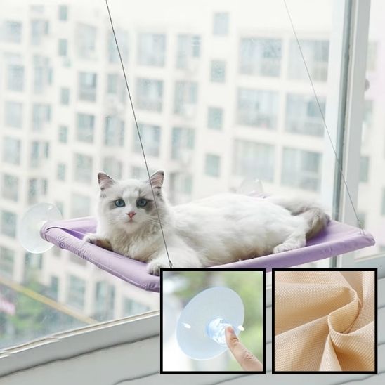Hamac de fenêtre pour chat : Le confort ultime pour votre félin