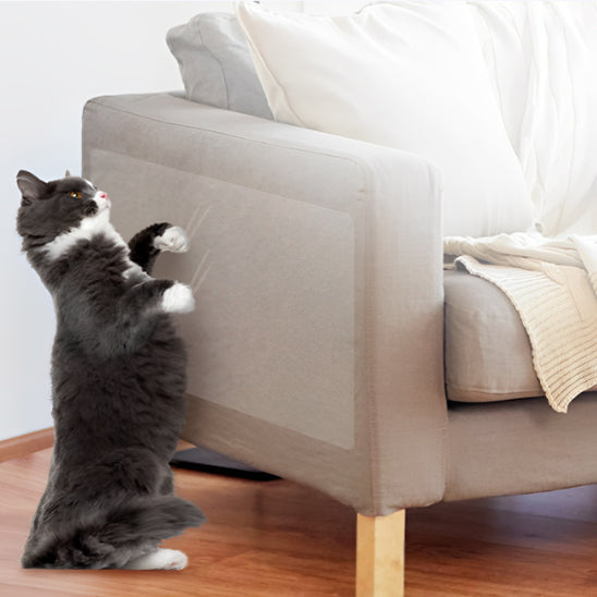 Plaque protectrice de sofa