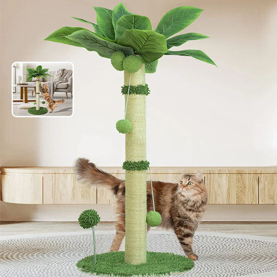 Grattoir pour chat palmier