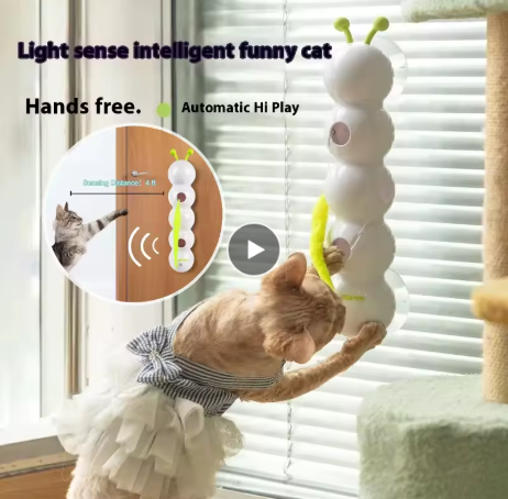 Jouet pour chat intelligent