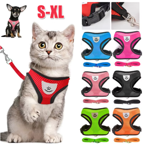 harnais et laisse refléchissante