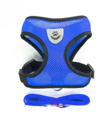 harnais et laisse refléchissante