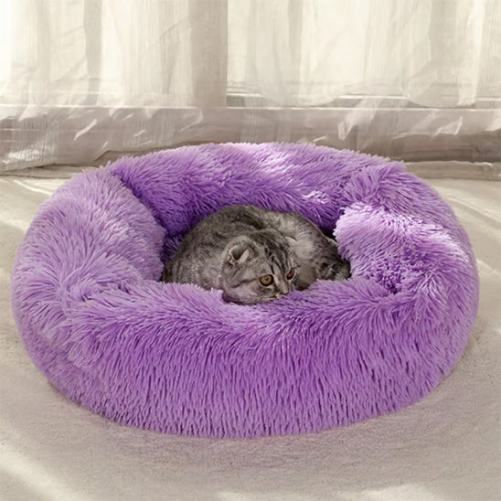 Coussin détente pour chat