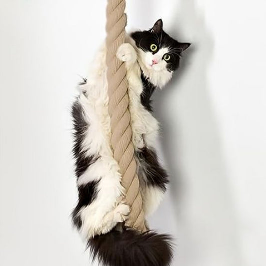 Corde griffoir pour chat | Protège-meubles 1,5m