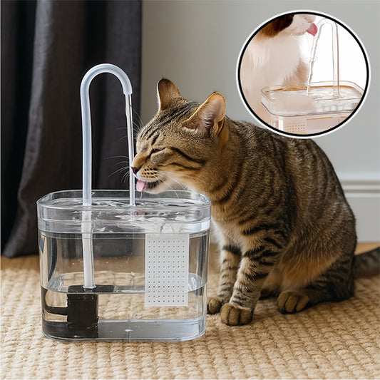 Abreuvoir pour chat | Silenflo