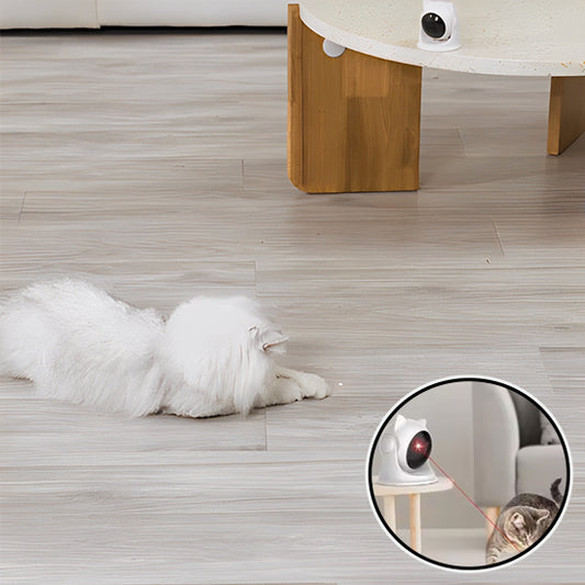 Laser jouet interactif pour chat