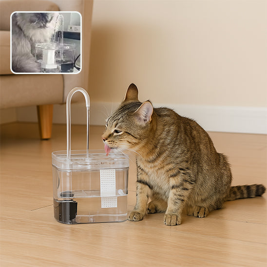 Abreuvoir pour chat | Silenflo