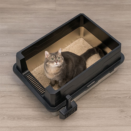 BAC à litière xxxl pour chat