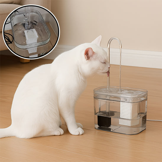 Abreuvoir pour chat | Silenflo