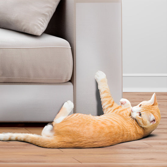 Plaque protectrice de sofa