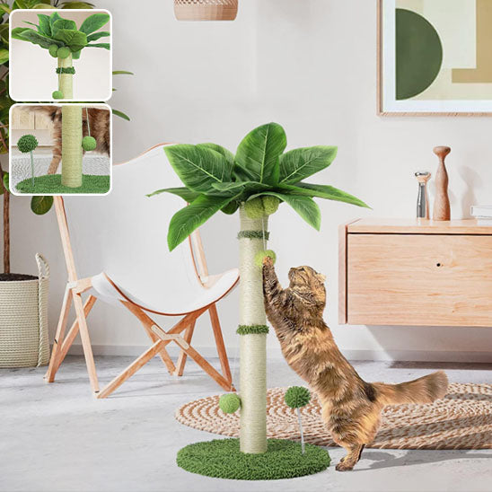 Grattoir pour chat palmier