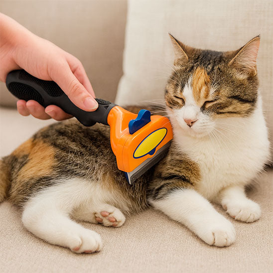 Brosse ergonomique confort pour chat