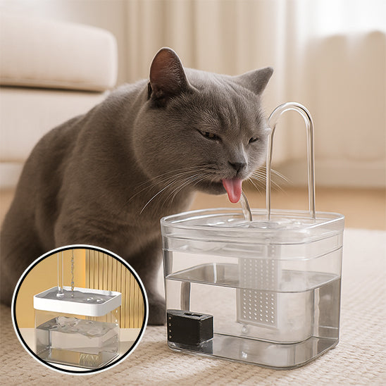 Abreuvoir pour chat | Silenflo