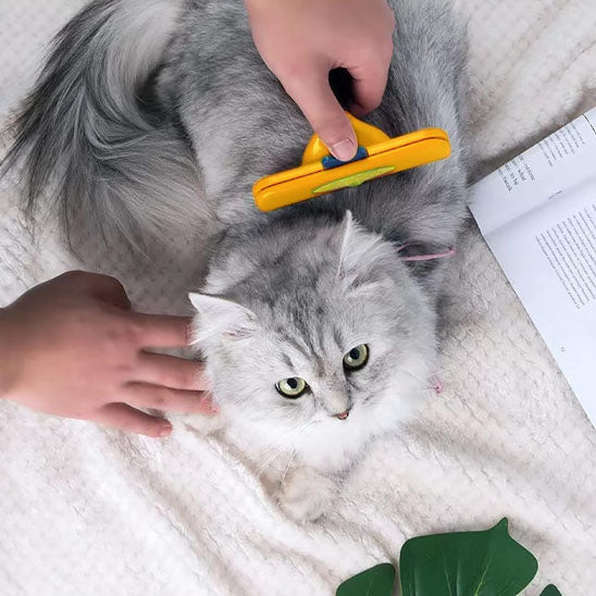 Brosse ergonomique confort pour chat
